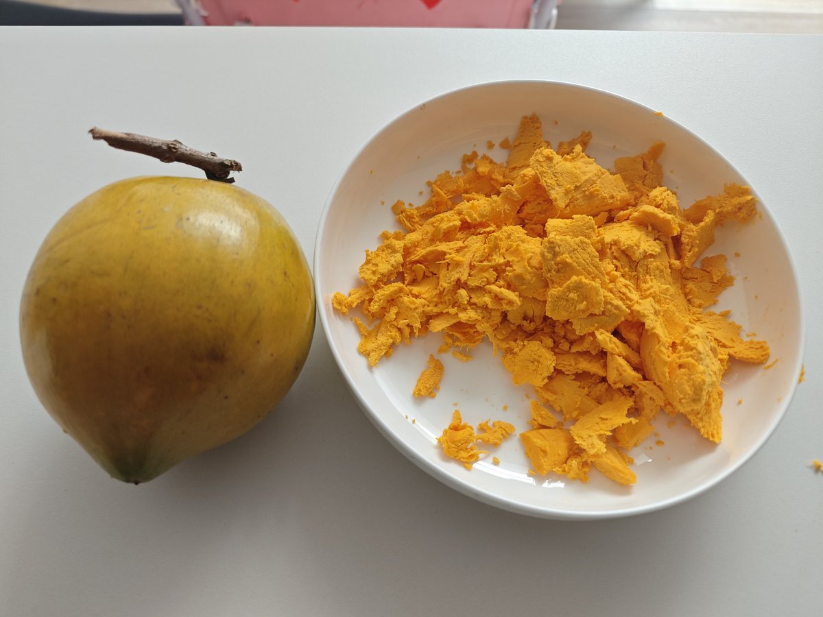 Recently I've been addicted to buying new exotic fruit off Pinduoduo here in China every week. This arrived today (Canistel/Egg Fruit). I'm 3 weeks in & although I've had this in Yunnan before, it's my fav so far. It tastes like creamy egg yoke with a cakey/cotton candy texture.