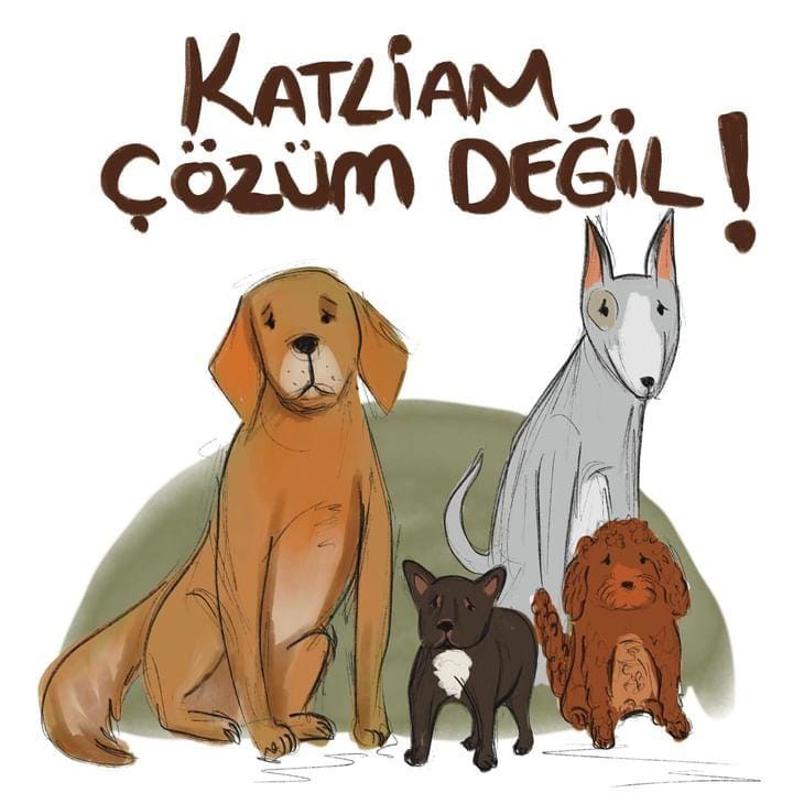 Sokaktaki canlar için 250 bin imza! #SokakHayvanlarıSahipsizDeğil Sokak köpeklerinin öldürülmesini içeren yasa tasarısına karşı başlatılan kampanyada imza sayısı 250 bini aştı. İmzalar yarın ilgili Tarım ve Orman Bakanlığı'na teslim edilecek. Sen de imzanı ekle: 👉