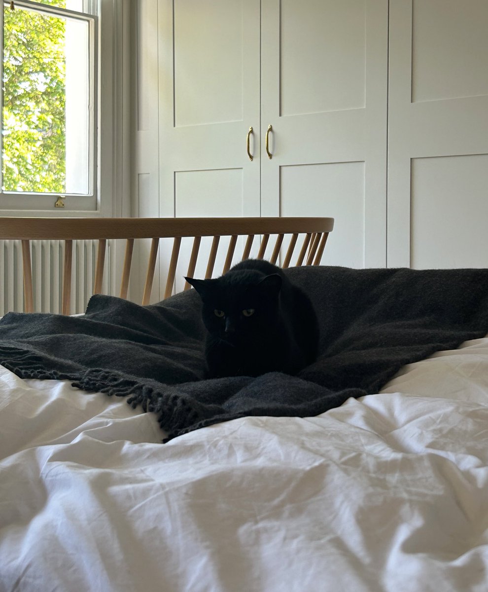 Cat’s Whiskers tweet media