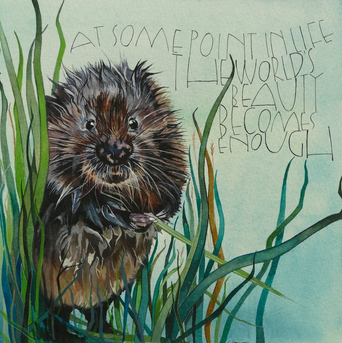A week watervole today. 

I must try again at painting one soon. 
And oh how I wish they lived near to me.