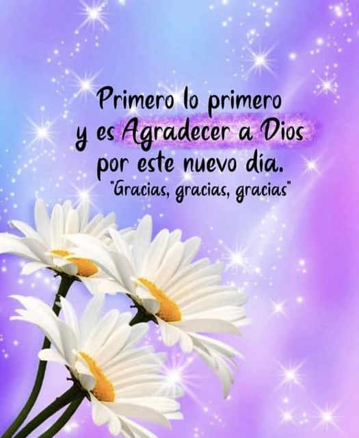 M. Jesús Sáez de Alb tweet media