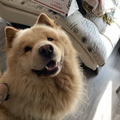 M𝛑. Blonde  tweet media