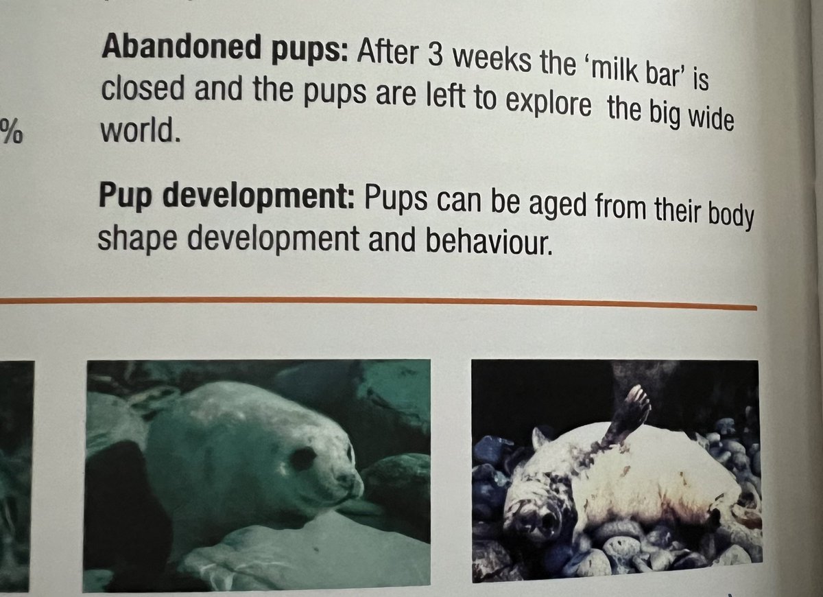 Hello @NatResWales @NationCymru - how can you justify a coasteering concordat in a seal pupping area, coasteering every day in August, when vulnerable young pups are learning to swim and survive? Ceibwr is a Cardigan Bay SAC and seals protected by law and Habitats Directive