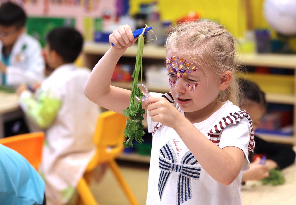 NAISHongKong's tweet photo. Science Day Excitement at Lam Tin Primary! 🔬🌱
Our students are exploring the wonders of science through hands-on activities - from investigating coral reefs and plants to digging for fossils, building straw rockets, and experimenting with electricity! 🧪 https://t.co/FTywRlQt64