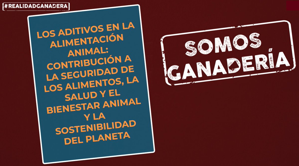 Este artículo acortar.link/0Qfde8 de #Adiprem nos hablar de la contribución de los aditivos en la alimentación animal a la #Sostenibilidad, la #SaludAnimal, #SeguridadAlimentaria y el #BienestarAnimal
#SomosGanadería
#RealidadGanadera 
#Meatthefacts