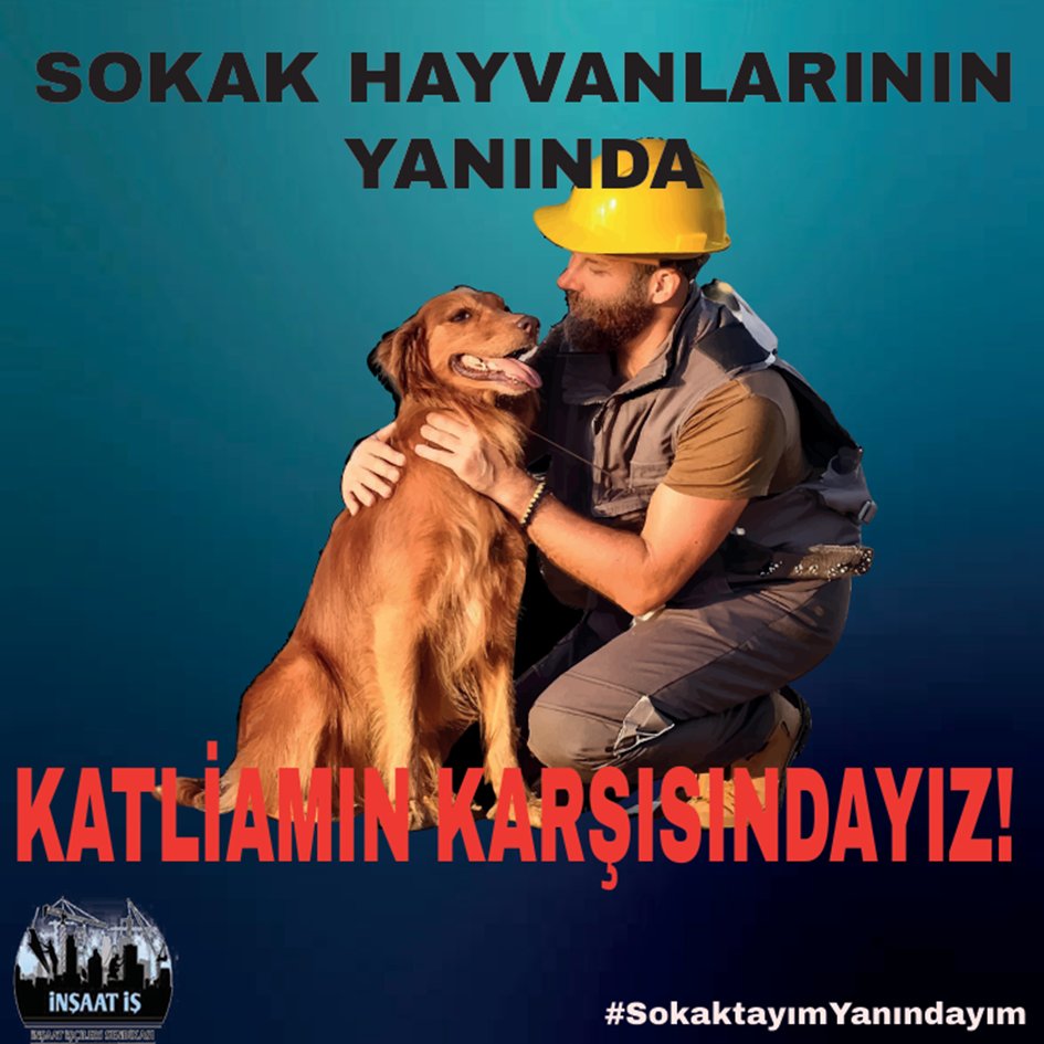 Sokak Hayvanlarının Yanında, Katliamın Karşısındayız! 'İlk büyük hayvan katliamının yaşandığı topraklarda “Uyutma” ifadesinin altındaki ceset kokusu şimdiden burnumuzu sızlatıyor.' #SokaktayımYanındayım