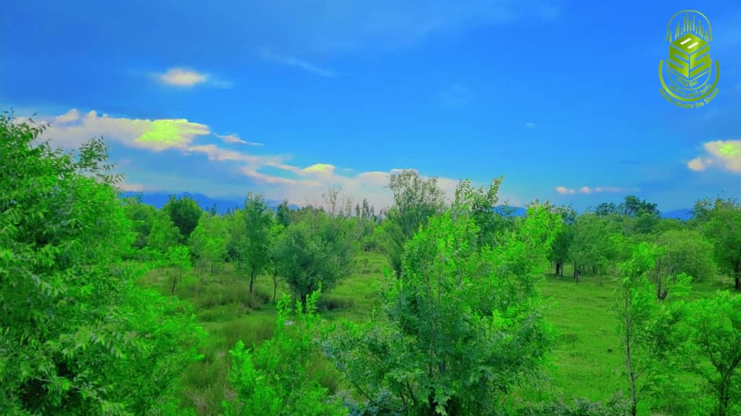 ShahrBaShahr's tweet photo. ولایت زیبا پروان
عکاس: سباوون امیری
#اکسپلور
#افغانستان
#رادیوشهربهشهر
#photo
#photography
#photooftheda https://t.co/8W6eEVvM74