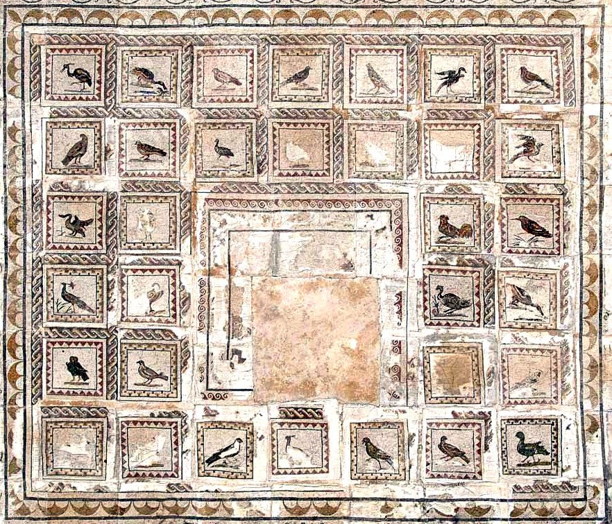 #MosaicMonday The Villa of the Birds mosaic is something to behold. There are 33 individual birds represented, each with their own frame. Just stunning! 📸 Frédéric Lecut