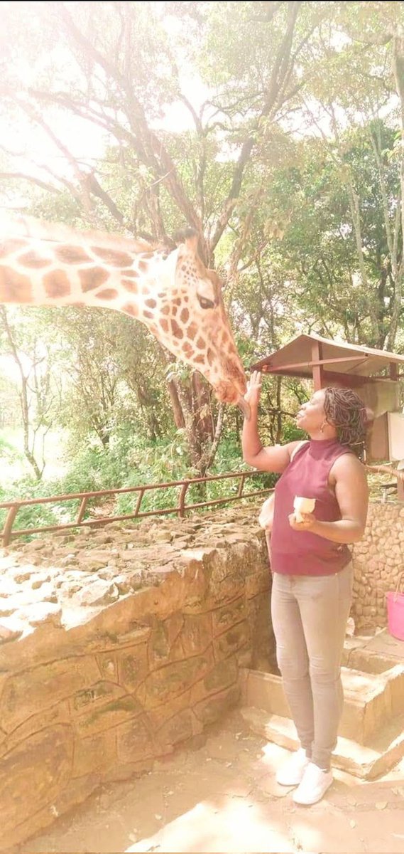This photo of  the giraffe licking my hand, I'd love it being recreated. Am a nature lover and wildlife. <a href="/BrendaObath/">Figure Of Speech</a>, <a href="/Classic105Kenya/">Classic 105 Kenya</a> , #ItelMyStory.