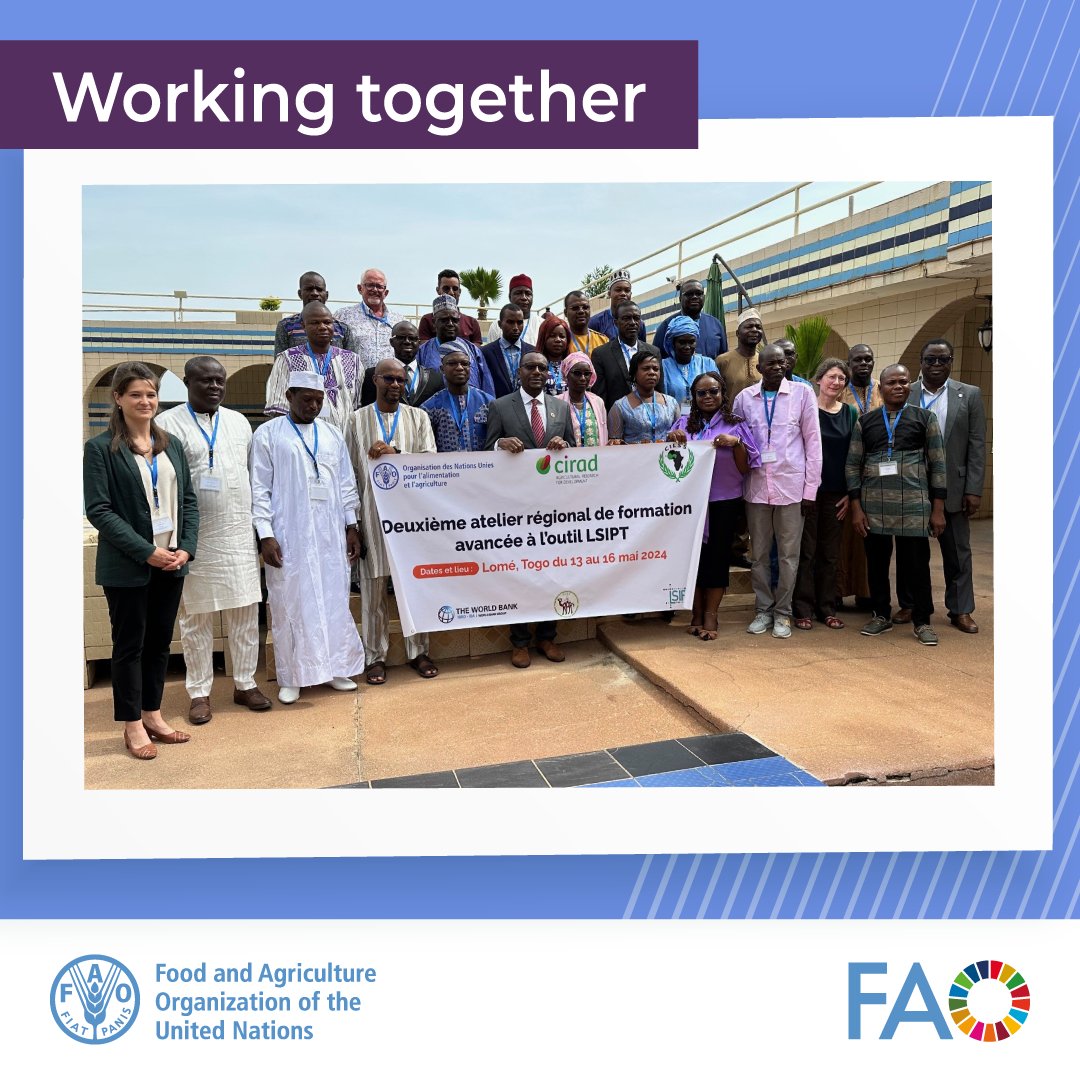 🌟 Strengthening institutional capacities in 9 African countries and CILSS! 🌍 With @FAO's technical assistance and LSIPT tool, we're enhancing socio-economic analysis of livestock systems to boost resilience & investments in pastoralism Read more😃👉 bit.ly/3VkITdH