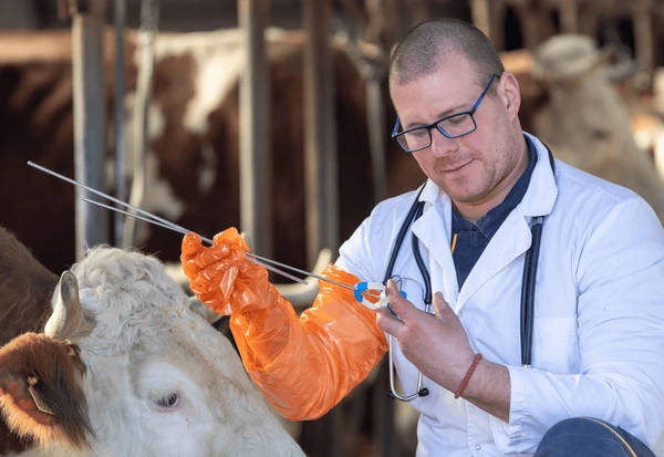 Livestock Artificial Insemination Industry: Navigating the Complexities of Regulatory Frameworks

 Read More@ tinyurl.com/5awn8287

#LivestockAI #ArtificialInsemination #AnimalReproduction #CattleBreeding #DairyIndustry #AnimalHusbandry #LivestockTechnology