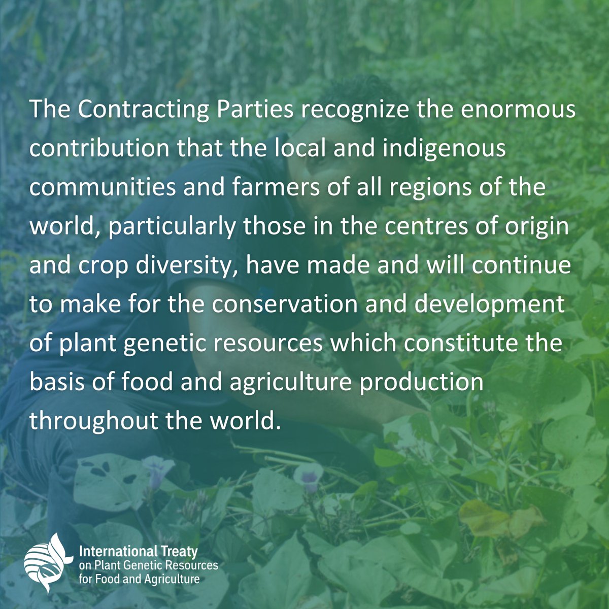 💡DYK?

In Annex 9 of the Intl. Treaty on Plant Genetic Resources, global farmers play a vital role in conserving essential plant genetic resources for food security.

🎙️lnkd.in/dN_7YKRy

#ItAllStartsWithTheSeed🌱#FarmersRights #Annex9 #IndigenousCommunities

@FAOKnowledge