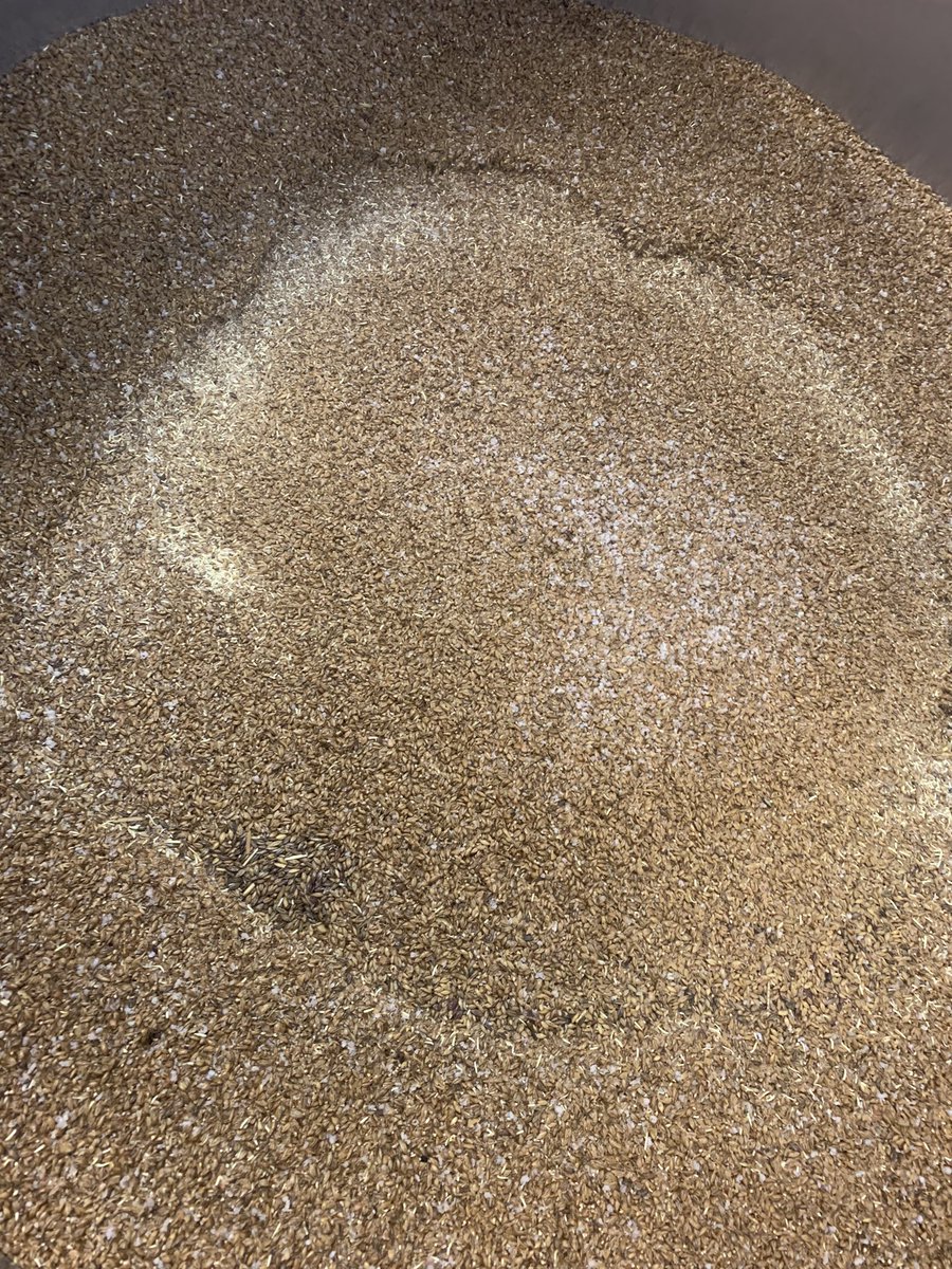 It may be a bank holiday but the brewing doesn’t stop. We’re also having a sort out and found a few cases of Brimstage Lager in the cold store with a BBE of May. Head to brimstagebrewery.com to grab a pack for half price. Happy bank holiday!