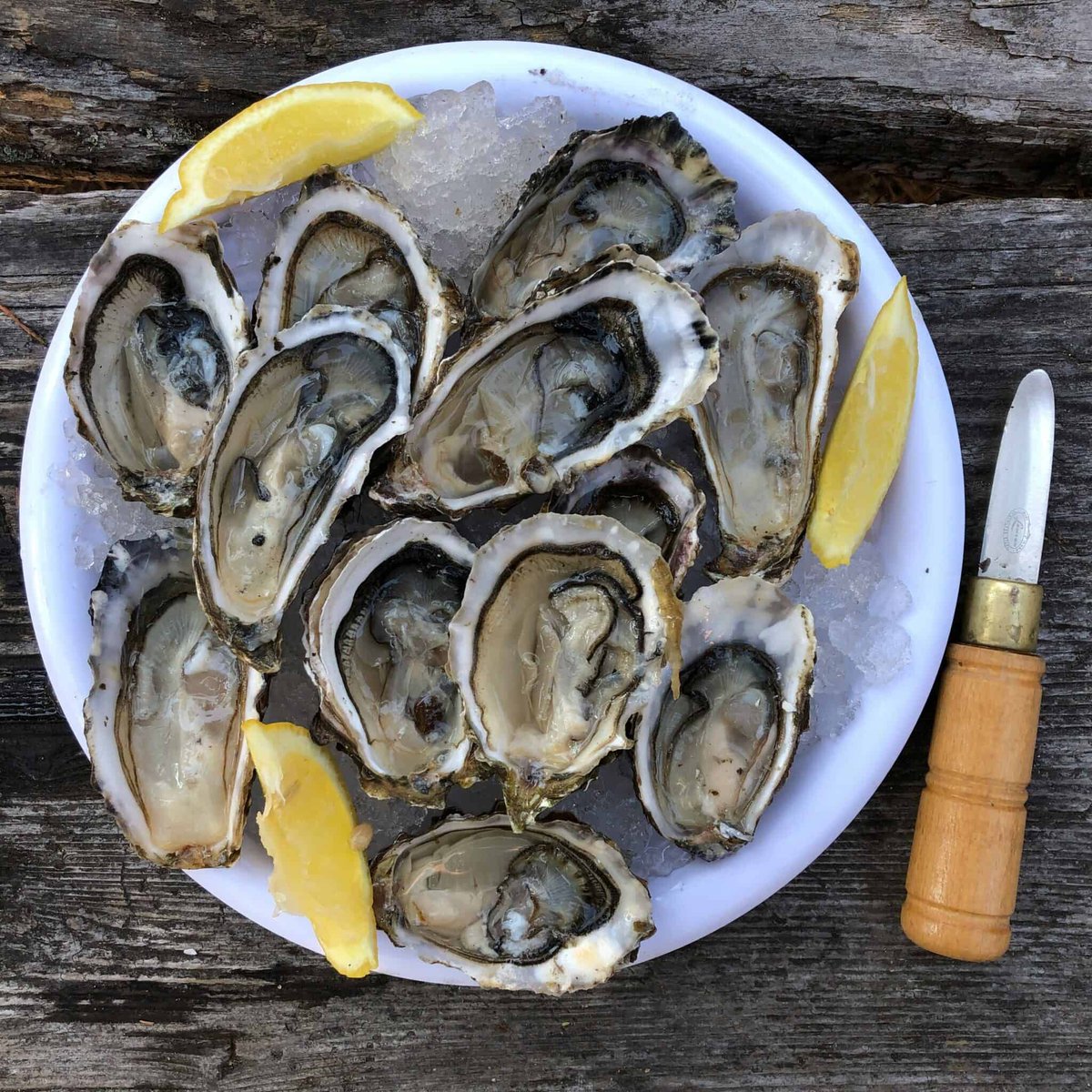 Fish and chips on the beach is a Great British tradition ❤️

But for something with a bit more style, check out these SUPERB seafood shacks on the UK's coastline.

bit.ly/3UJ6e8O

#UKtravel #UKcoast #seafood