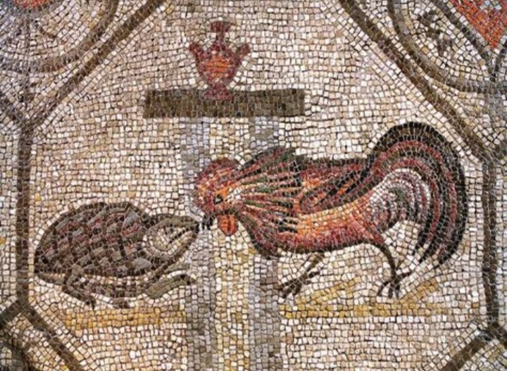 For today's #MosaicMonday an early 4th century AD mosaic, discovered in the basilica of Aquileia, depicting the fight between a rooster and a turtle, commonly interpreted as the representation of light/good (rooster) and darkness/evil (turtle).

#LateAntiquity #RomanArchaeology