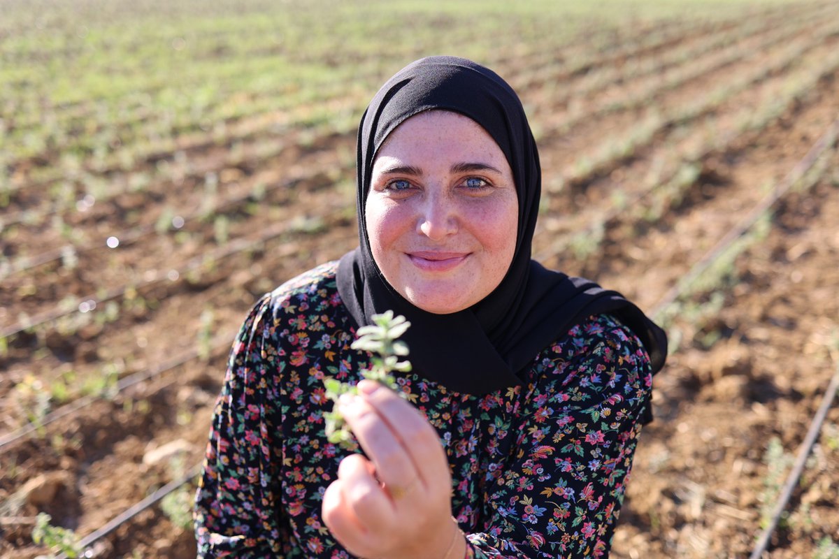 📊 Dive into the numbers and see the impact of the @FAOLebanon project implemented with @MoaLebanon through @GDCoops1 funded by @CanadaLebanon From women empowerment to grants support, 255 women cooperatives are making a difference in🇱🇧 📽️ shorturl.at/kxUY9