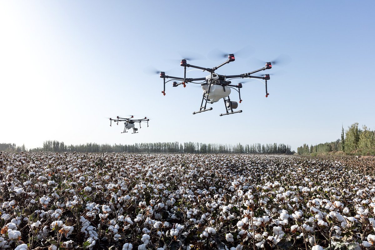 ¡Digitalízate! Conoce el grado de #digitalización de tu empresa #agroalimentaria. @DIHAndAgrotech se sirve del programa autonómico Plan de Acción de la Empresa Digital (PAED) para que sepas el resultado y acompañarte. 🚀 @AndaluciaJunta @edih_net 👇 andaluciaagrotech.com/radar/digitali…