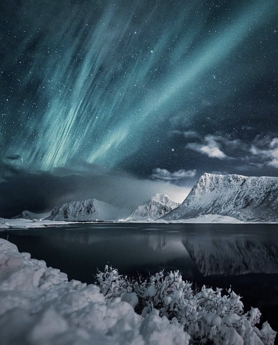 Natures light show ✨