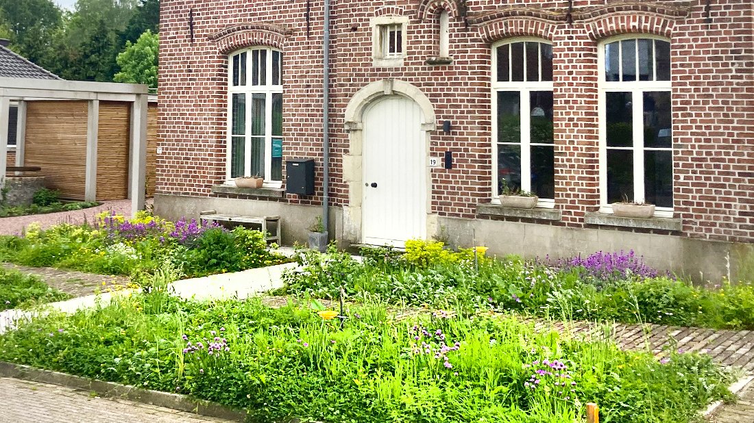 🌿🐞Op 11 juni 2024 vindt het 'Vormingsmoment groenvoorziening: biodivers groen' plaats te Geraardsbergen. Laat je inspireren en ga naar huis met praktische tips om biodiverse groene ruimtes te ontwerpen, aan te leggen en beheren. Schrijf jij je ook in? viaverda.be/agenda