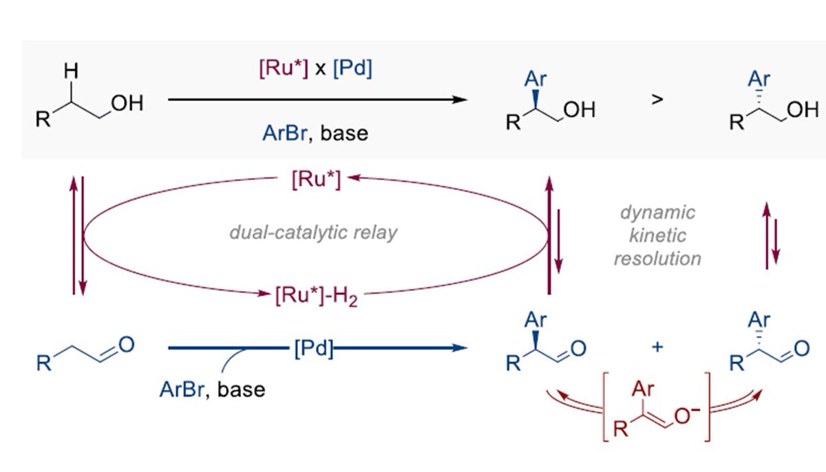 DydioLab (@dydiolab) on Twitter photo Enantioselective beta-C-H arylation of alcohols is online! Very proud of this <a href="/ERC_Research/">European Research Council (ERC)</a> work by <a href="/Bruno_Chemist/">Bruno Male Enhancement Chemist Warehouse</a>, Shuailong & Flora! Started at UStrasbourg, completed at <a href="/ChemCambridge/">Cambridge Chemistry</a>.
onlinelibrary.wiley.com/doi/10.1002/an… Enantioselective beta-C-H arylation of alcohols is online! Very proud of this <a href="/ERC_Research/">European Research Council (ERC)</a> work by <a href="/Bruno_Chemist/">Bruno Male Enhancement Chemist Warehouse</a>, Shuailong & Flora! Started at UStrasbourg, completed at <a href="/ChemCambridge/">Cambridge Chemistry</a>.
onlinelibrary.wiley.com/doi/10.1002/an…