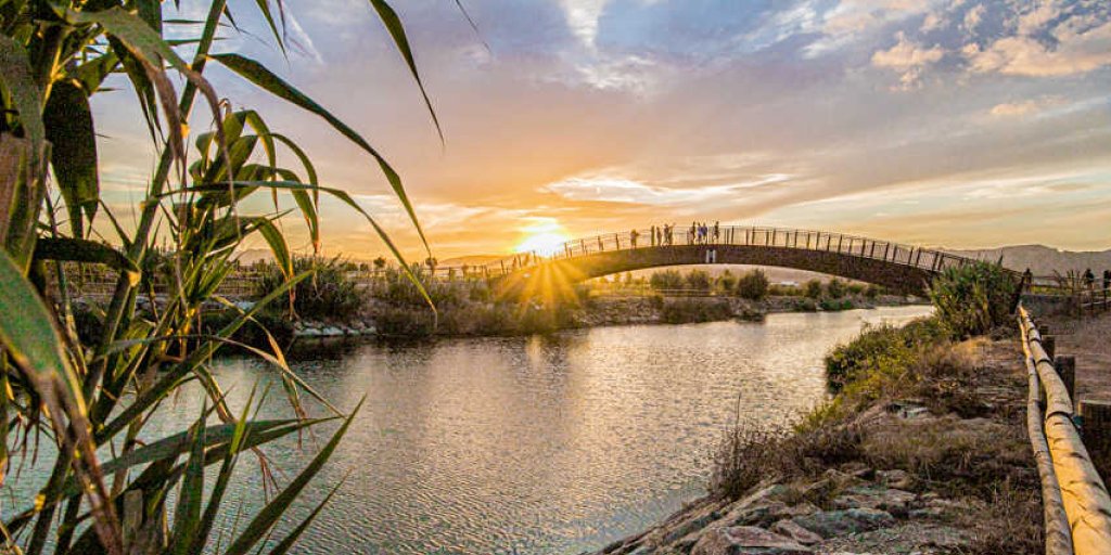 🩵¿Conoces el Sendero Azul del Belcaire en Moncofa?🩵
🥾4 km accesibles y junto al mar
🦆¡Repletos de fauna increíble!🐢 #ActitudMediterránea