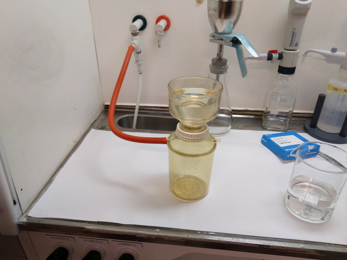 soininen_janne's tweet photo. Collecting and filtering lake water for experiment about joint effects of brownification and eutrophication on biofilm diversity and functioning @GeoHelsinkiUni @SuomenAkatemia https://t.co/kw11V74qTB