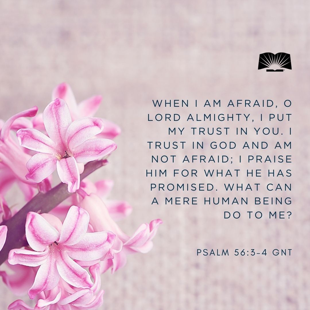 When I am afraid, O LORD Almighty, I put my trust in you. I trust in God and am not afraid; I praise him for what he has promised. What can a mere human being do to me? —Psalm 56:3–4 GNT #VerseOfTheDay