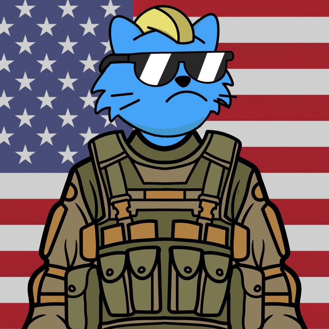 #BaseDoodleCat
Honoring the brave men and women who made the ultimate sacrifice for our freedom. 🫡 #MemorialDay 
#basememecoins