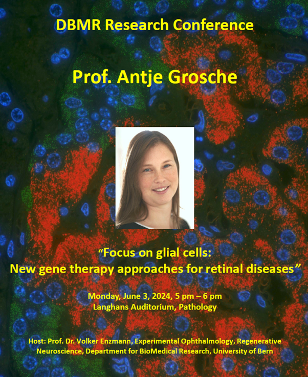 BioMedical Research (@dbmr_unibe) on Twitter photo Join us on June 3 at 5 pm for our DBMR Research Conference. Prof. Dr. rer. Nat. Antje Grosche will speak about: «Focus on glial cells: New gene therapy approaches for retinal diseases.”
tinyurl.com/3rkyauzb
<a href="/unibern/">Universität Bern</a>
<a href="/inselgruppe/">Insel Gruppe</a> Join us on June 3 at 5 pm for our DBMR Research Conference. Prof. Dr. rer. Nat. Antje Grosche will speak about: «Focus on glial cells: New gene therapy approaches for retinal diseases.”
tinyurl.com/3rkyauzb
<a href="/unibern/">Universität Bern</a>
<a href="/inselgruppe/">Insel Gruppe</a>