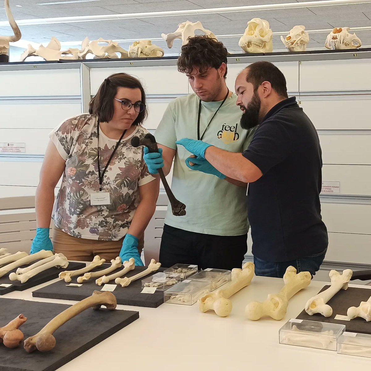 #ICTSNews 
Recibimos hoy en la sala de consulta a #PrimerosPobladoresAG
Gracias por vuestra visita.
#ColeccionesdelCENIEH #COAC #ColecciónOsteológicadeAnatomíaComparada #ConsultaenSala @CENIEH @CENIEH_Labs