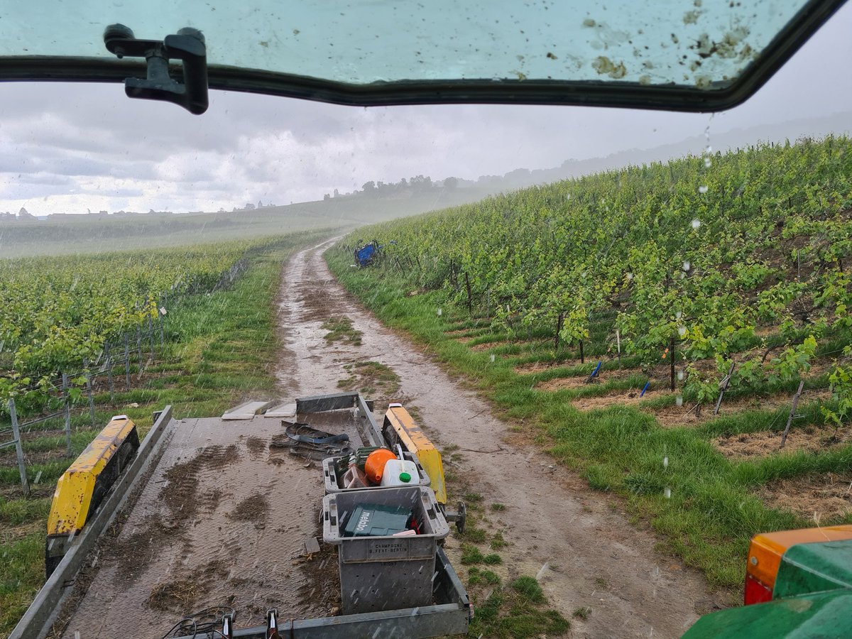 benoit51390's tweet photo. Ça va passer / Bah non!
La soirée tracteur est râpée ! 🤷♂️
#Champagne
📍#Vrigny
📌#LesDos
🍇#Chardonnay https://t.co/wJ5tAkMg7T