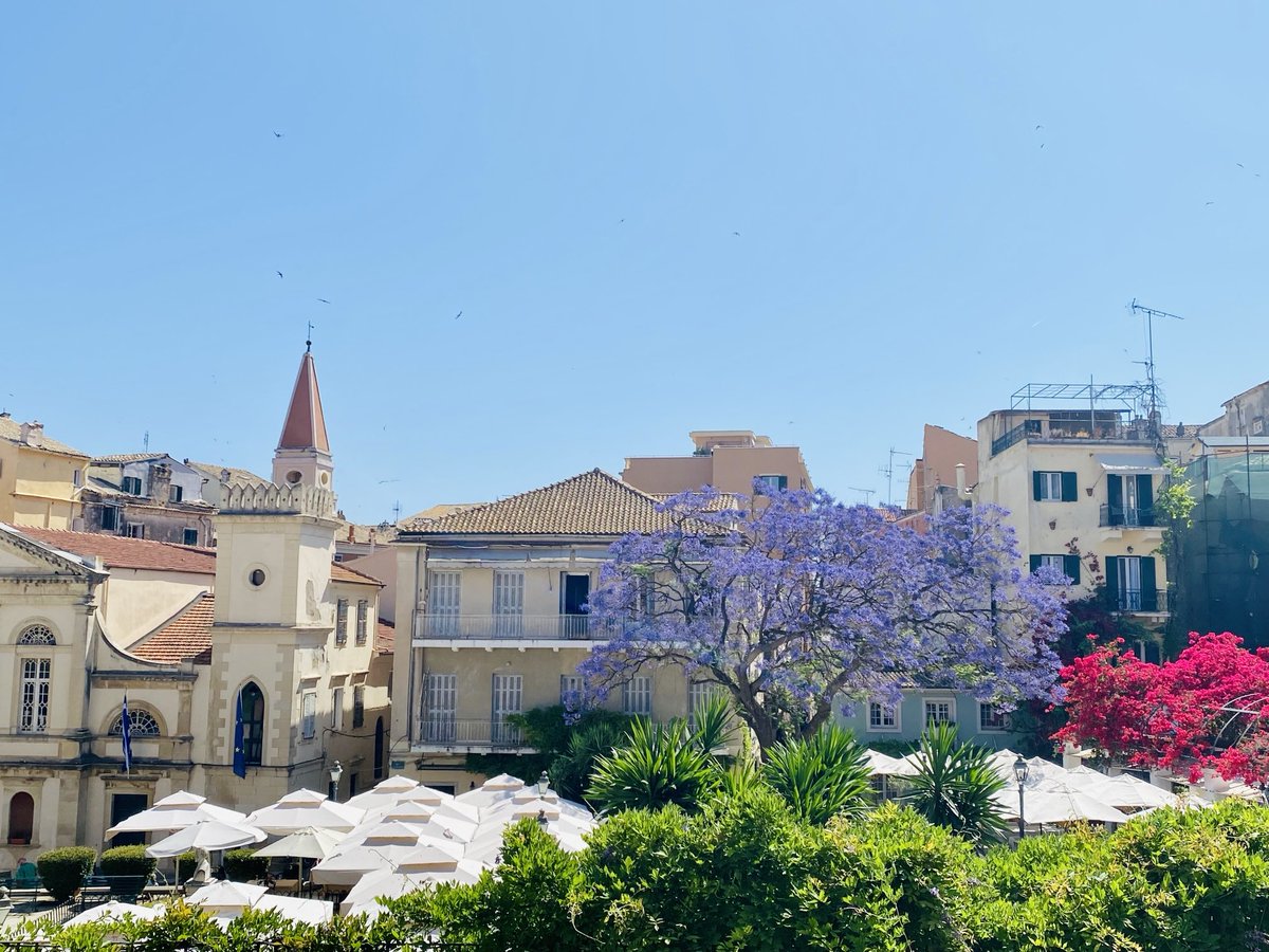 Corfu town in full bloom