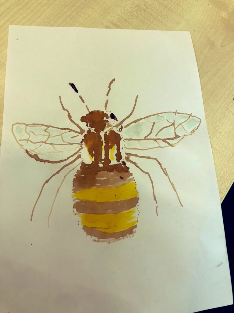 Dr Kay Sidebottom 🌿🕷⛸ tweet media