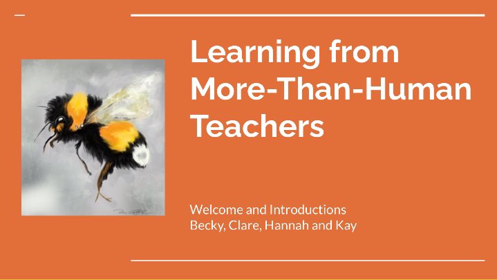 Dr Kay Sidebottom 🌿🕷⛸ tweet media