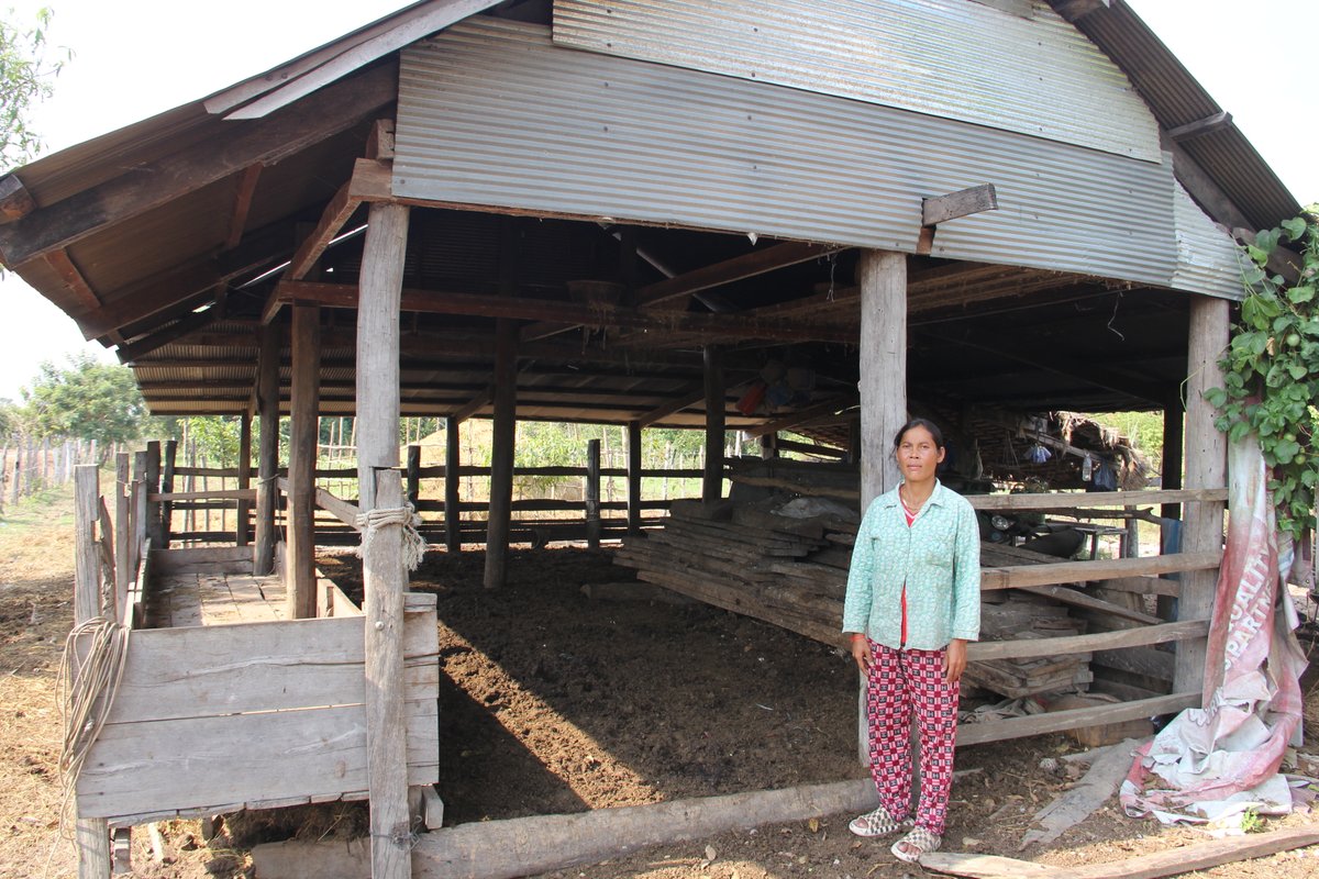 Meet Sokleang. For years, she lived in fear of hidden #landmines, unable to let her children roam freely or farm safely. But thanks to #APOPO her land is now safe, and her life is being transformed. Read her inspiring story: bit.ly/4e7Pcu6 #Cambodia #MineFreeWorld