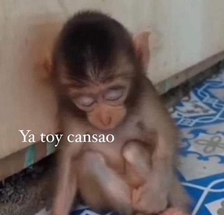La suerte que el jueves es feriado 😵‍💫🥴