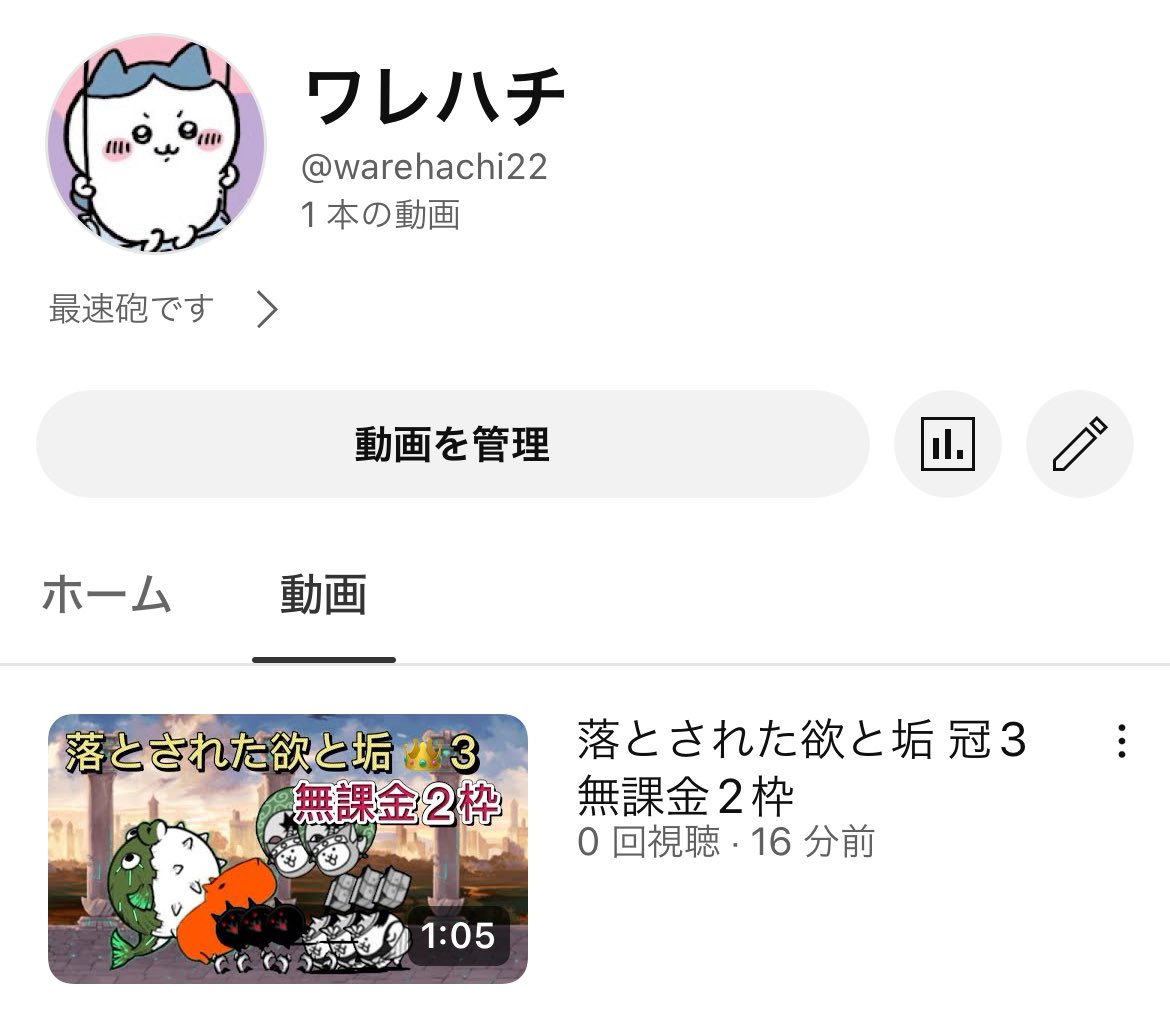ワレハチ tweet media