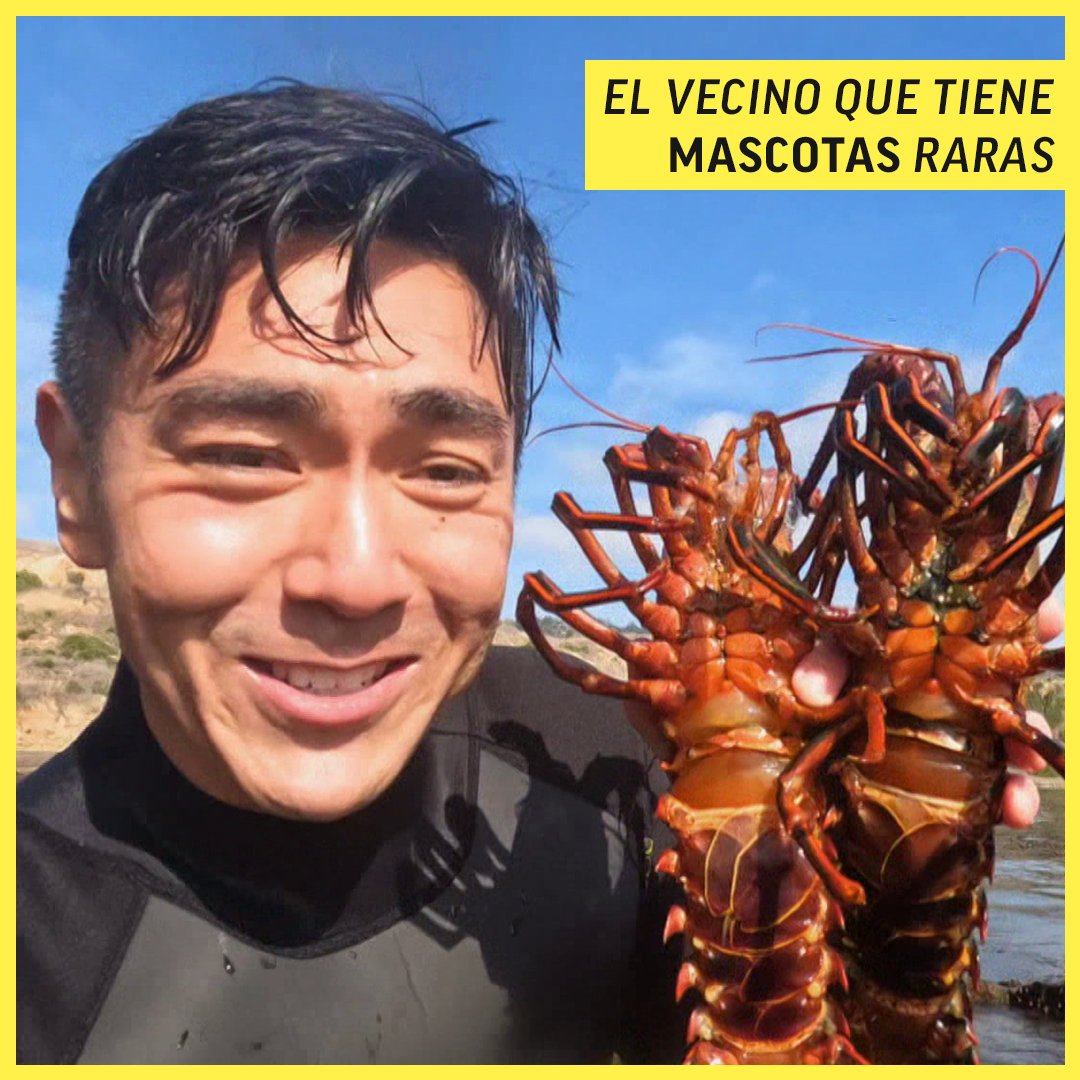 AMCBreakES's tweet image. Todos tenemos un vecino que da la nota y, si no lo tienes... Eres tú 😂

#GuerraDeVecinos - Ya disponible en BREAK.