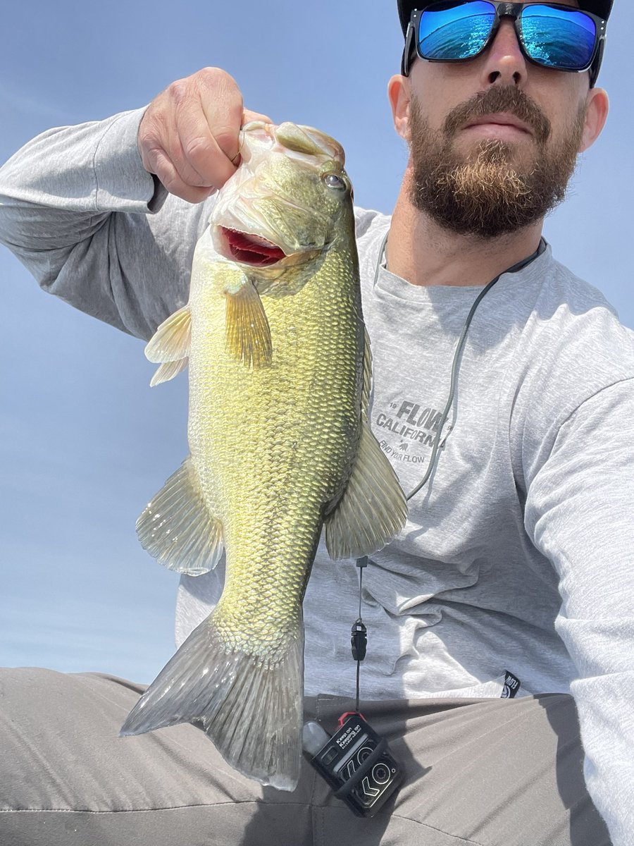 THE MiTTEN tweet media