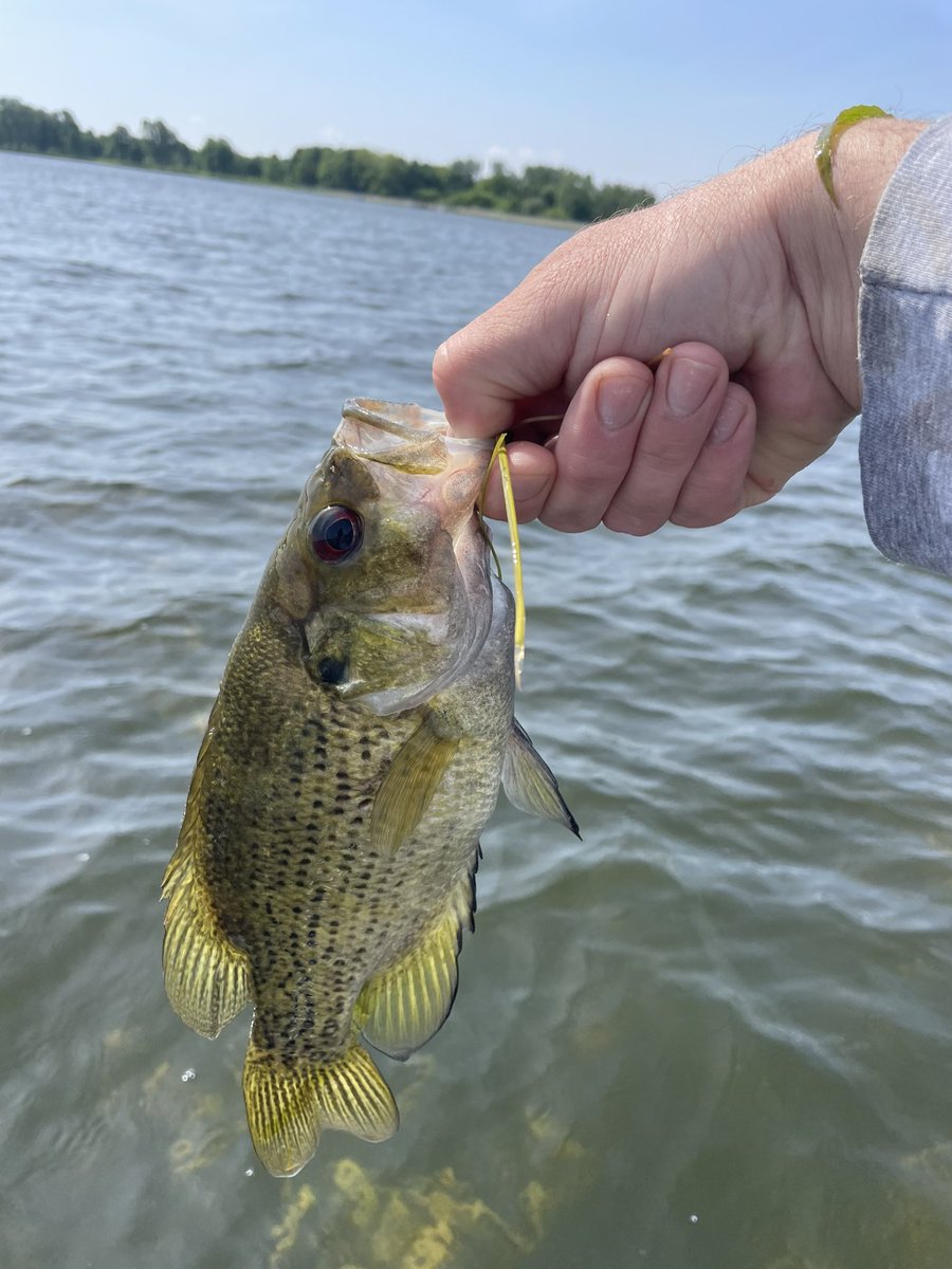 THE MiTTEN tweet media