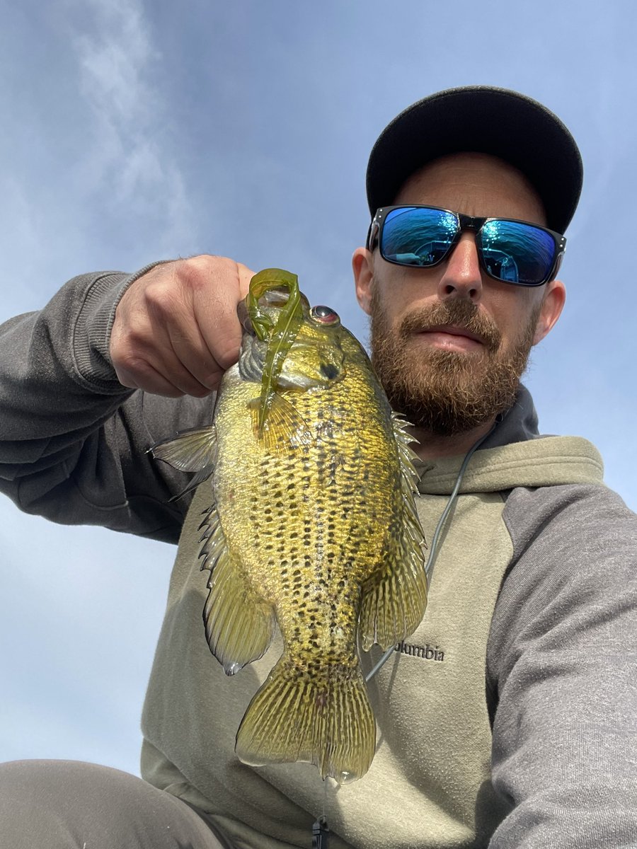 THE MiTTEN tweet media