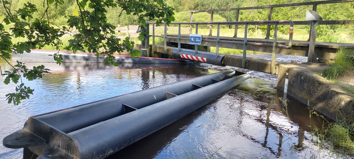 🚫Vaarverbod voor het hele Dommelgebied vanwege  de hoogwatersituatie. Uitgezonderd van dit vaarverbod zijn:
•    slalomparcours bij de Volmolen in Waalre 
•    slalomparcours bij de Neul in Sint Oedenrode
We adviseren om ook daar, zeker als ongeoefende kanoër, niet te gaan