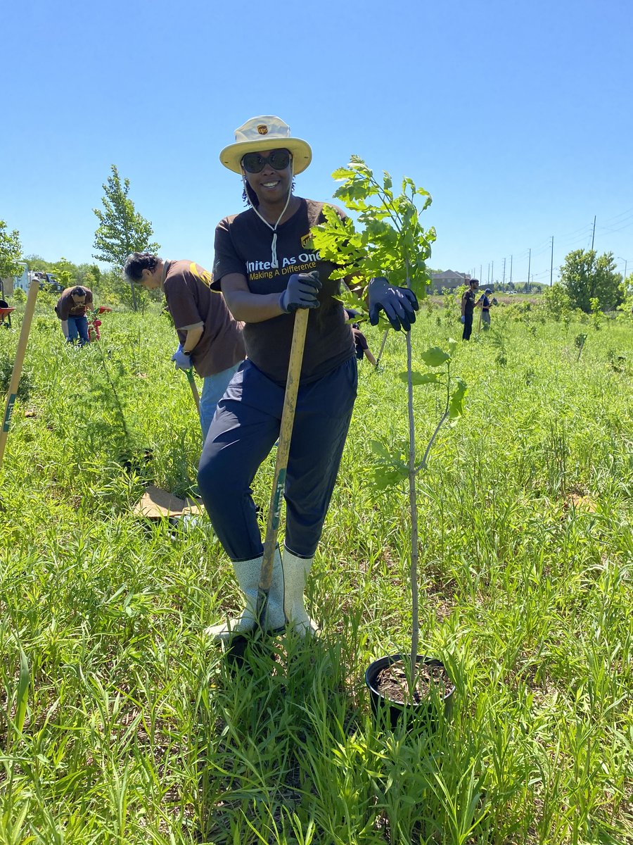 CVC_CA's tweet image. #RoundTwo! @UPS_Canada joined us to plant 300 native trees and shrubs in @CityBrampton's Andrew McCandless Park! Huge thank you for their continued support and dedication in driving positive change in the Credit River Watershed!🌳 #PlantTreeswithCVC