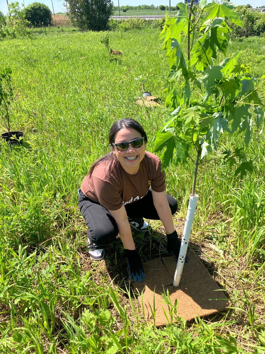 CVC_CA's tweet image. #RoundTwo! @UPS_Canada joined us to plant 300 native trees and shrubs in @CityBrampton's Andrew McCandless Park! Huge thank you for their continued support and dedication in driving positive change in the Credit River Watershed!🌳 #PlantTreeswithCVC