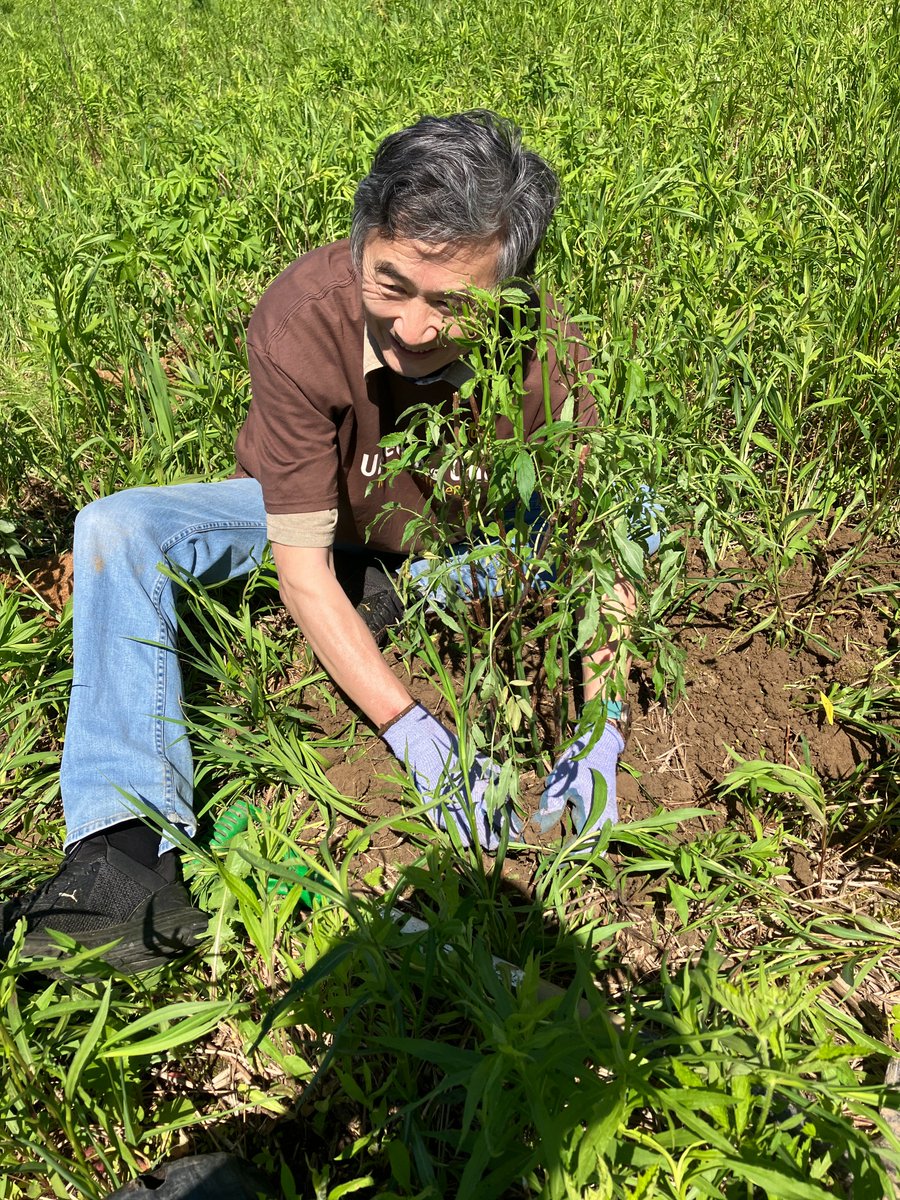 CVC_CA's tweet image. #RoundTwo! @UPS_Canada joined us to plant 300 native trees and shrubs in @CityBrampton's Andrew McCandless Park! Huge thank you for their continued support and dedication in driving positive change in the Credit River Watershed!🌳 #PlantTreeswithCVC