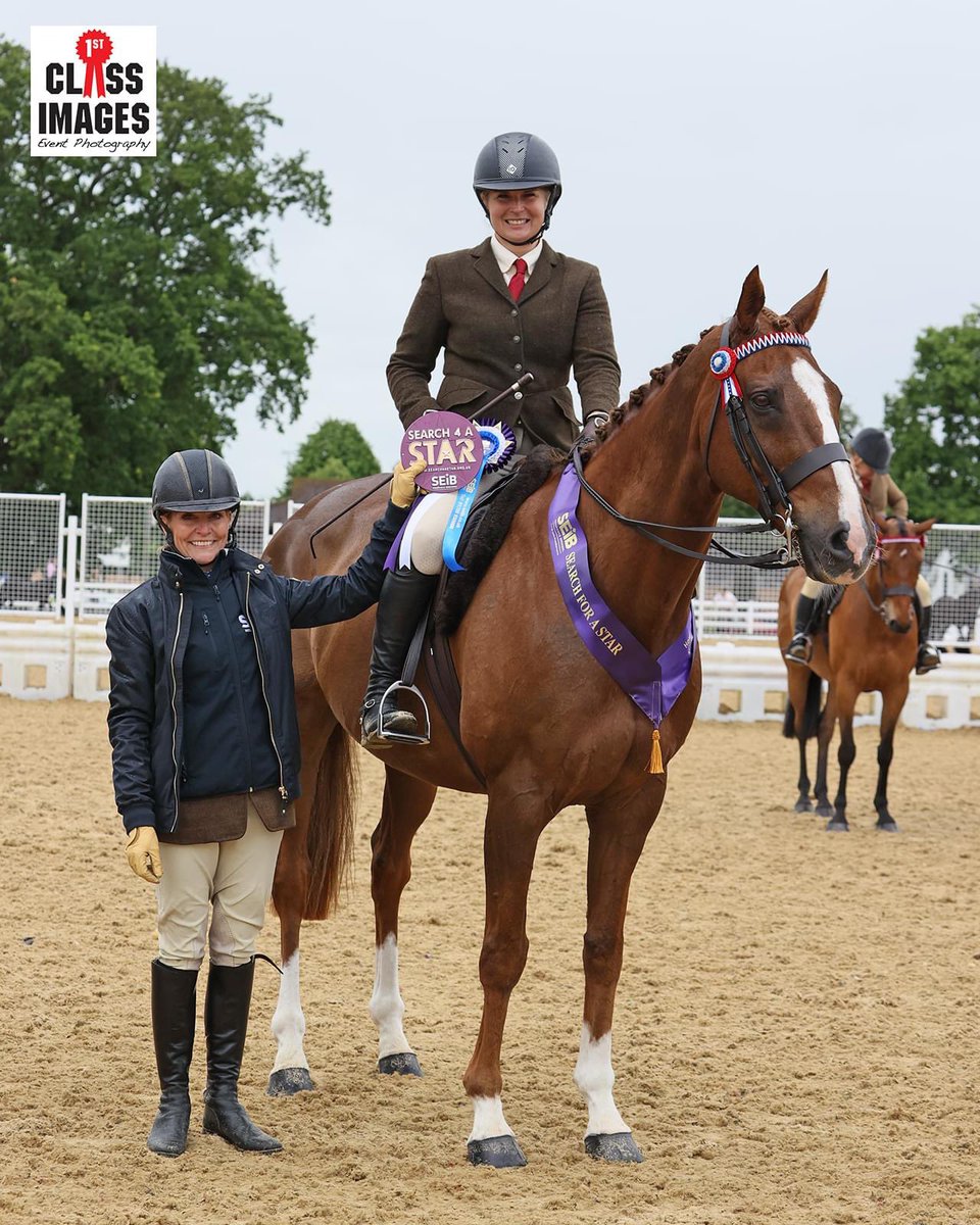 SophiexJane's tweet photo. Native River from National Hunt warrior to Showing Star! Off to Horse of the Year Show he goes. Well done to them, love to see it!! https://t.co/JrupSHMKDx