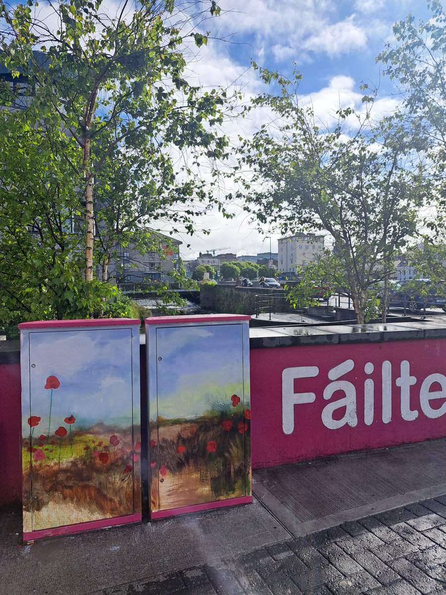 Gorgeous new street art on display as you enter Galway's Westend at Raven's Terrace 😍👌 Cross the bridges today to check it out!

#galway #galwayswestend #thisisgalway #streetart #mural #flowers #colours #crossthebridges #cometogalway #visitgalway #visitireland