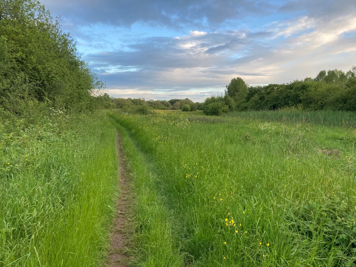 Reality of UK biodiversity loss: two nice riverside bushy/wet meadow at same latitude in England v Poland. Both should have Spotted Flycatcher, Corncrake, Red-backed Shrike, drumming Snipe, Golden Oriole, Whinchat, Redstart, Wryneck, Grasshopper Warbler. But only one still does.