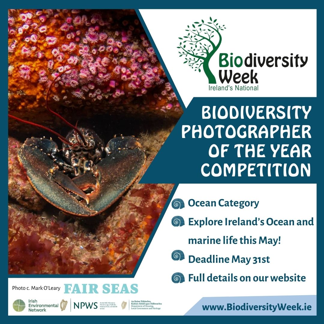 🚨The final countdown is on to enter this years competition!📸

✨ The competition closes tomorrow at midnight. Don't miss your chance to showcase your talent and win amazing prizes. Submit your entries now! ⏳ 

#BiodiversityWeek2024 #PhotoCompetition #LastChance