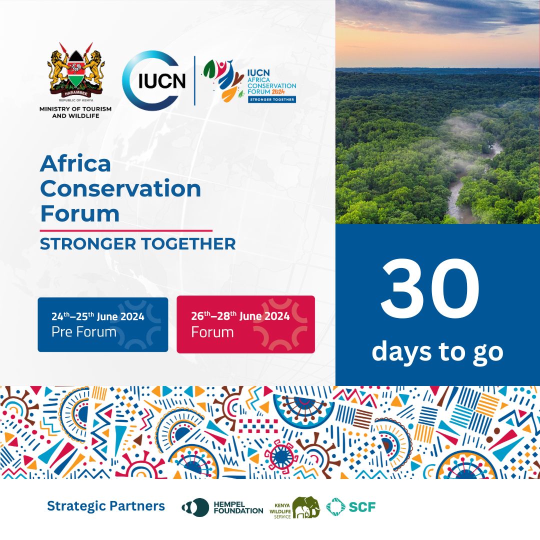 #IUCNMembers, conservation leaders, policy makers, activists and partners across Africa are geared to convene in Nairobi for the 2024 Africa Conservation Forum —30 days from today. ➡️Learn more about the forum and its objectives: bit.ly/3VaVIsA #IUCNAfrica2024 #ACF2024